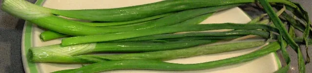 amarres con cebolletas