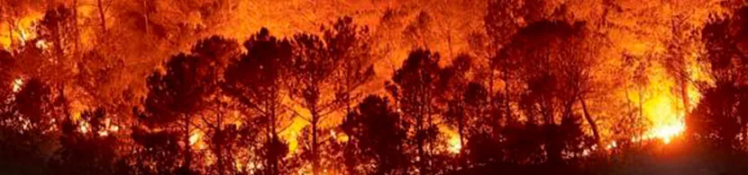 Soñar con el fuego de un incendio, ¿qué significa?