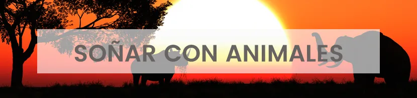 Situaciones que normalmente se presentan en sueños con animales