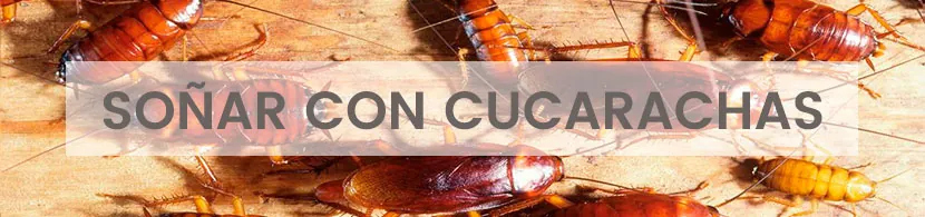 Significado de soñar con cucarachas