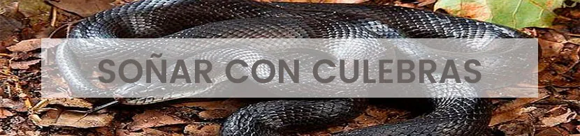 Significado de soñar con culebras