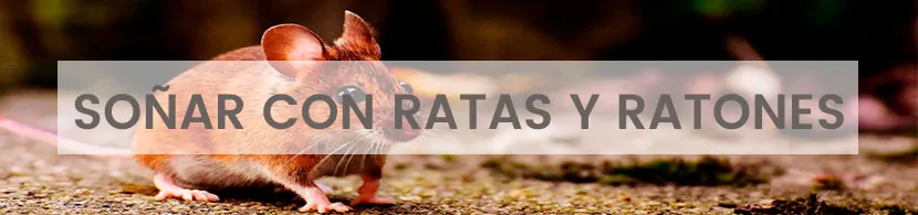 El significado de soñar con ratas y ratones