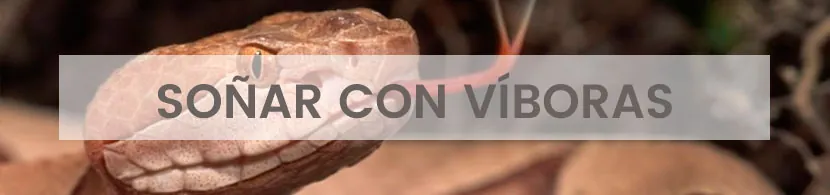 Significado de soñar con víboras