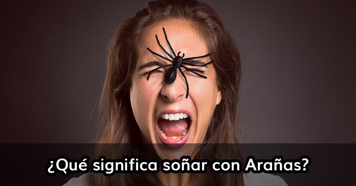 ¿Qué significa SOÑAR con ARAÑAS? Todo lo que te gustaría saber